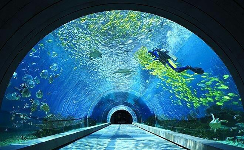 三亞潛水攻略，潛水內幕（原文螞蜂窩）