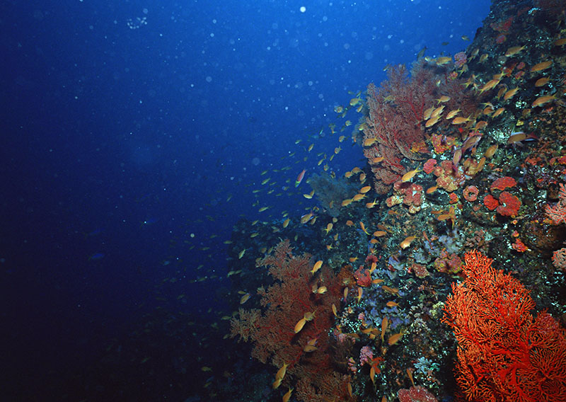 如何提高你的潛水體驗(yàn)