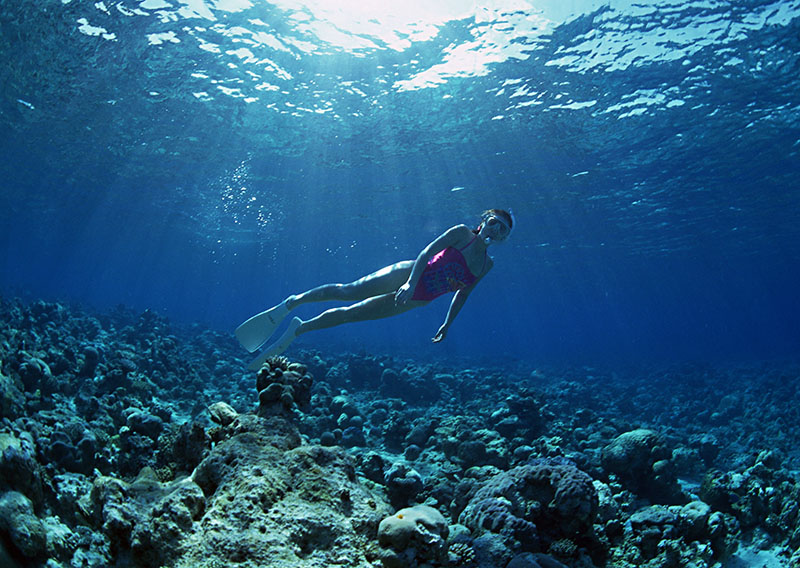 世界上的潛水組織