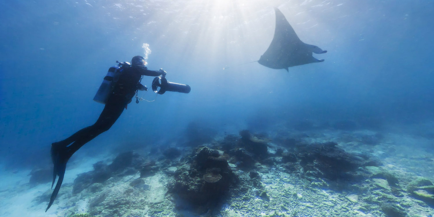 注意，這幾種情況下不能潛水