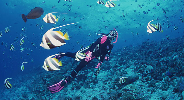 懷孕能潛水嗎？