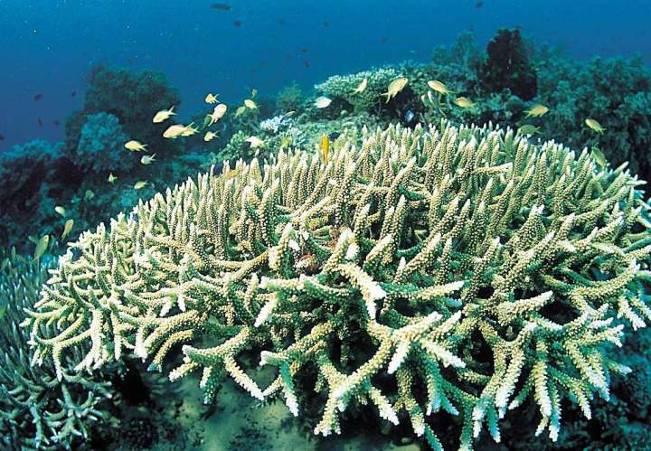 用六種方式減少海洋污染