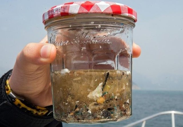 如果知道海洋中的塑料垃圾會進入人類肚子，你還會丟嗎？