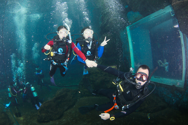 12/12正式上線！PADI 最新課程【休閑潛水員Resort Diver】 丨 一天拿證，潛遍全球