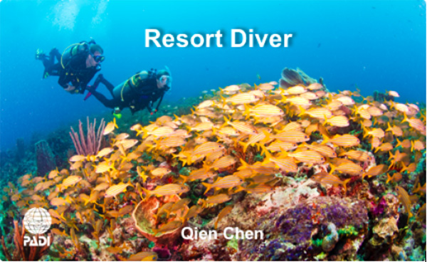 12/12正式上線！PADI 最新課程【休閑潛水員Resort Diver】 丨 一天拿證，潛遍全球