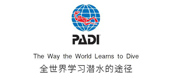12/12正式上線！PADI 最新課程【休閑潛水員Resort Diver】 丨 一天拿證，潛遍全球