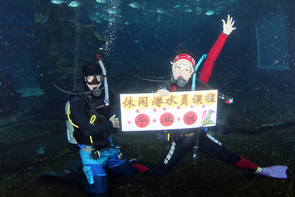 12/12正式上線！PADI 最新課程【休閑潛水員Resort Diver】 丨 一天拿證，潛遍全球
