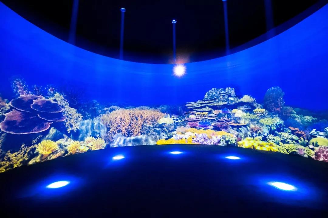 即將有一場海洋沉浸式體驗(yàn)互動展在上海舉辦